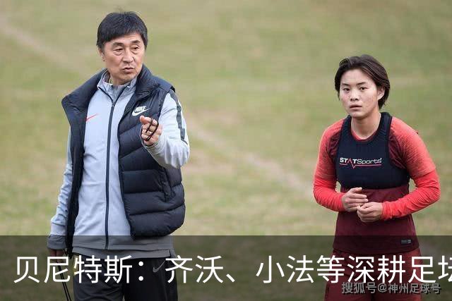 贝尼特斯：齐沃、小法等深耕足坛的人，就是意甲球队最可靠的底气